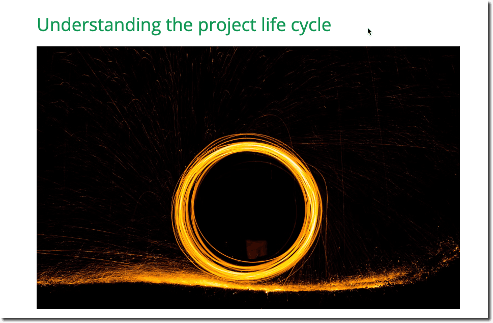 Project Life Cycle